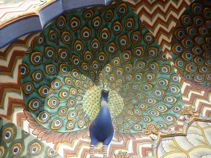 Peacock decoration on a door in Agra, India