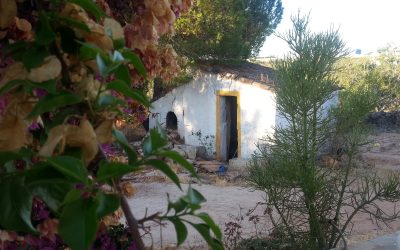 6.  A work exchange in the Algarve