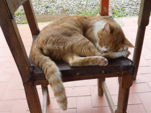 all the time in the world