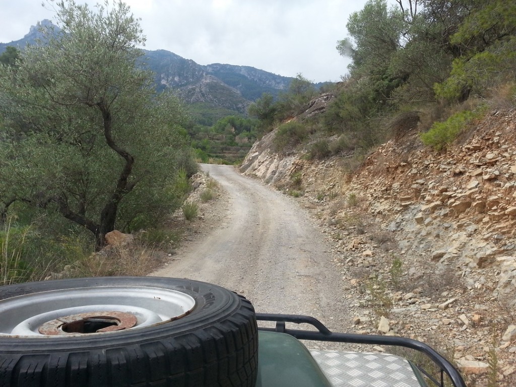 facing my fear of heights