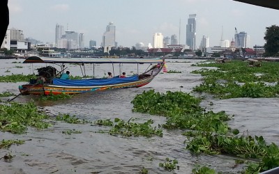 Highlights of Bangkok