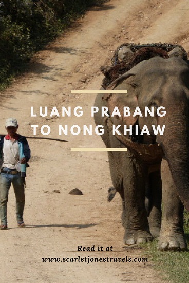 Pinterest elephant at Nong Khiaw
