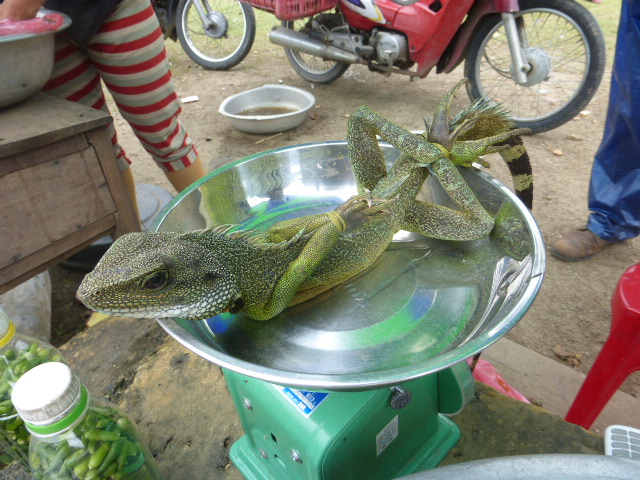 Central Highlands & Hoi An Easyriders Tour