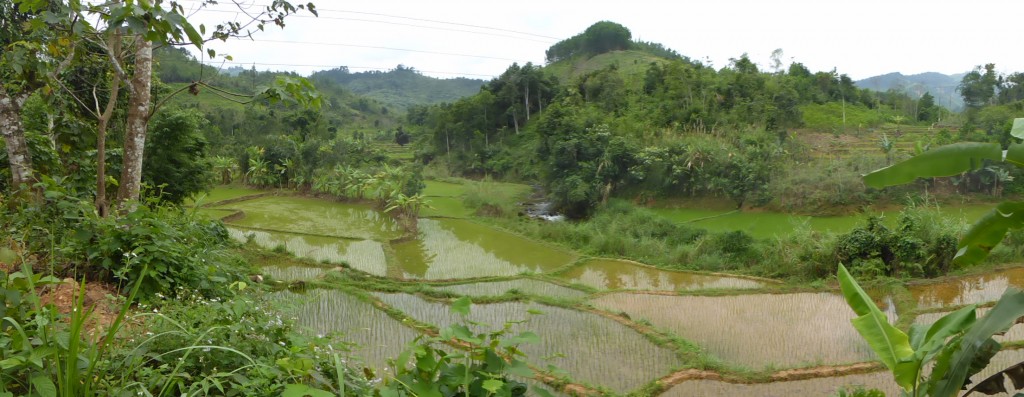 Central Highlands and Hoi An Easyriders Tour