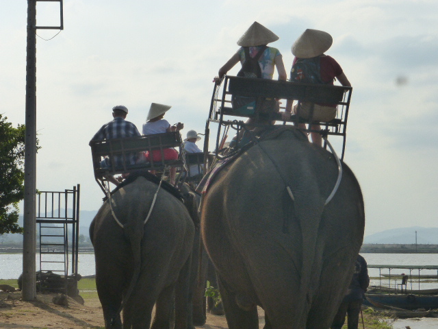 Lak Lake elephants