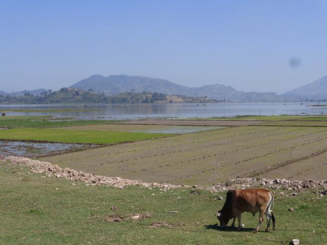 Lak Lake rural scene