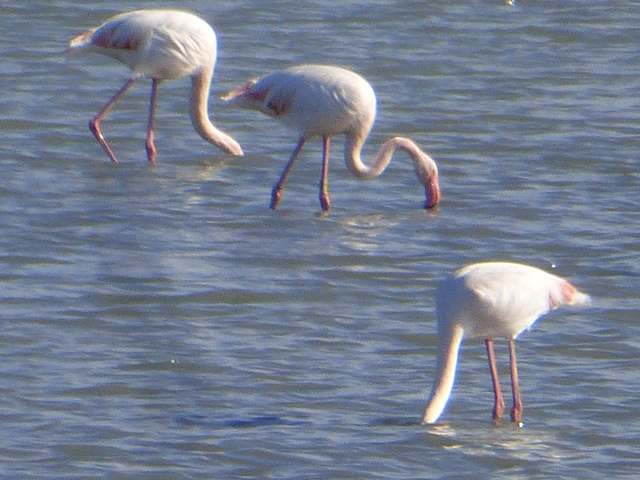 Road trip Spain - Alicante