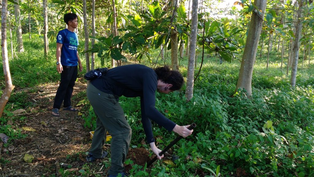 volunteer tree planting in the jungle