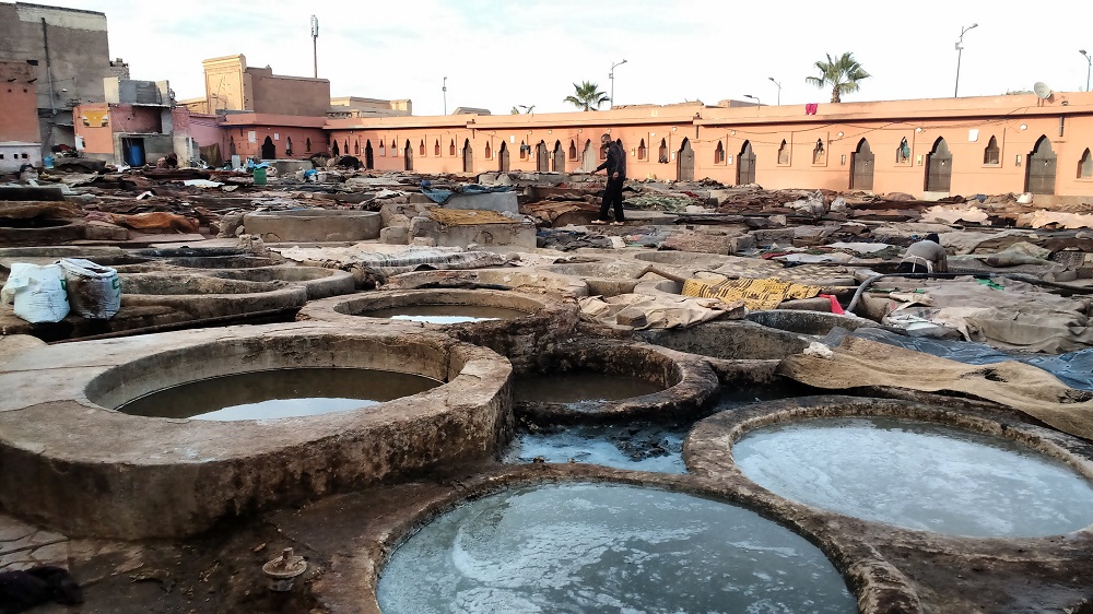 walking around the tanneries in Marrakech