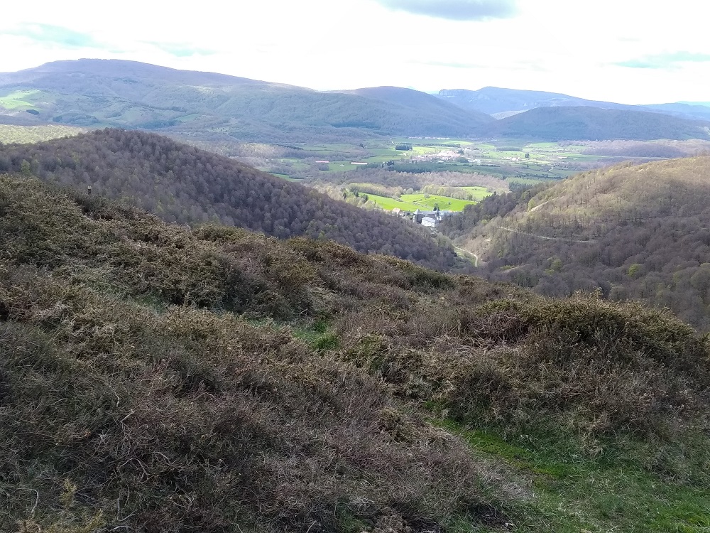 downhill to Roncesvalles