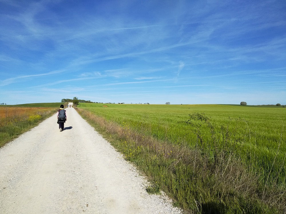 walking the Camino de Santiago alone