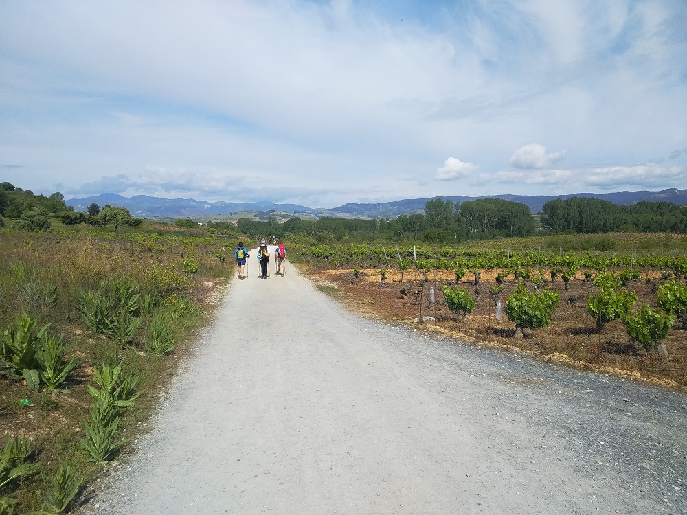 walking the Camino de Santiago alone