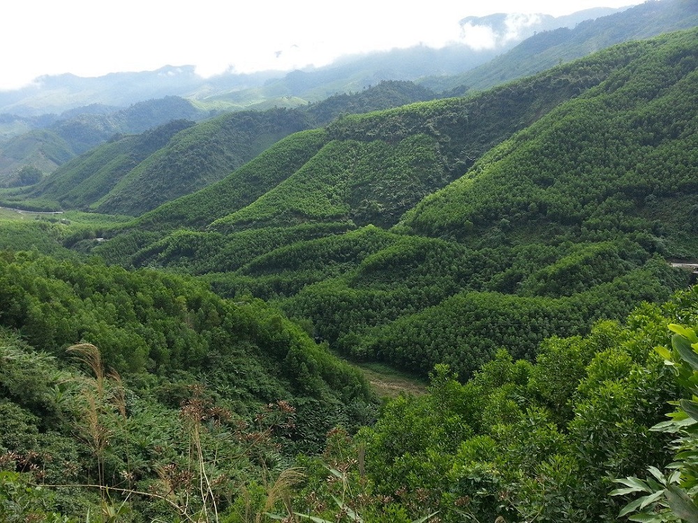 motorbike tour through Vietnam