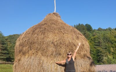 Romania – an Introduction